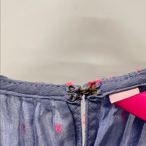 Lilly Pulitzer Top, Ruffle, Sleeveless, Blue w/Pink, Flowy, Feminine - Picture 6 of 12